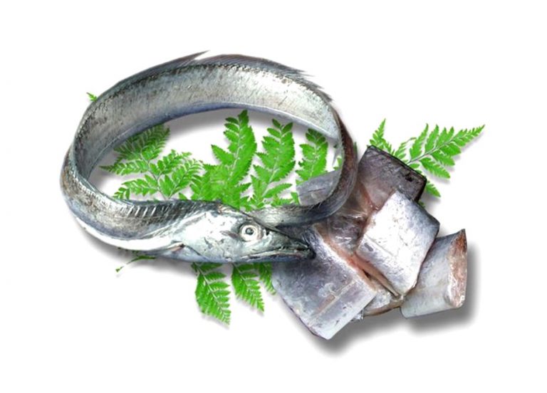 Cá tráo – HÙNG PHÚC SEAFOOD